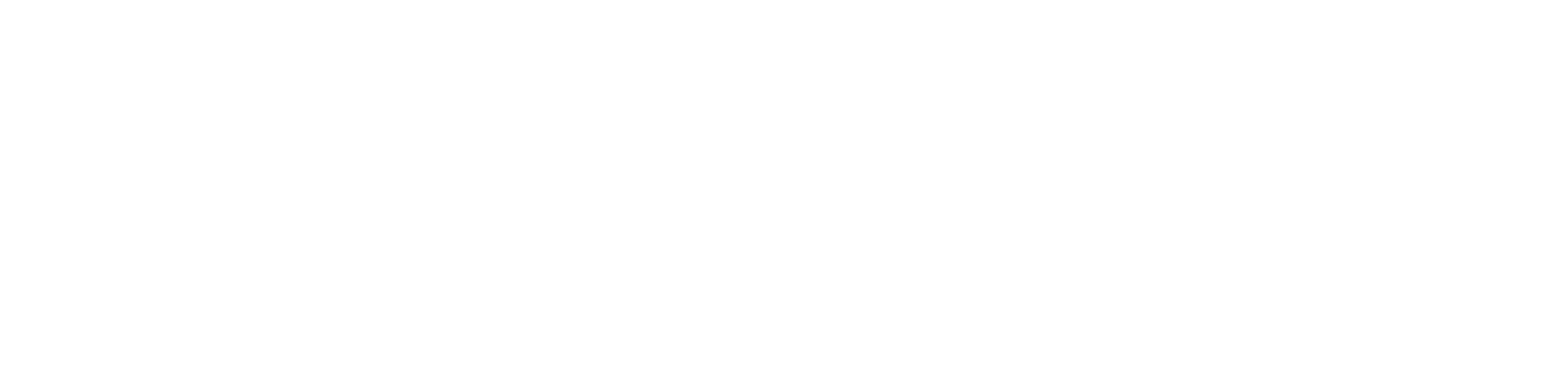 New Guards Group